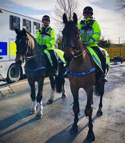 Police Horses Equipped With Front And Rear Cameras To Nab Errant