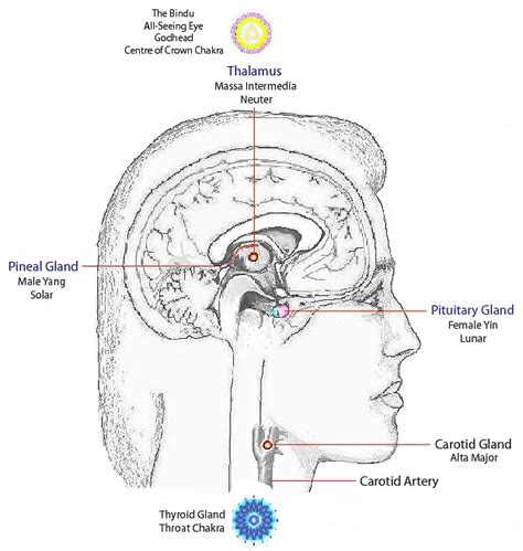 The 3rd Eye Hypothesis Inside A Soul