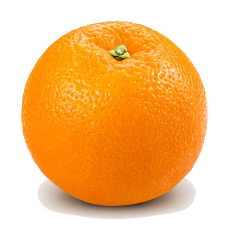 Tải Về Hơn 300 Transparent Background Orange Cho Thiết Kế Sáng Tạo Của Bạn