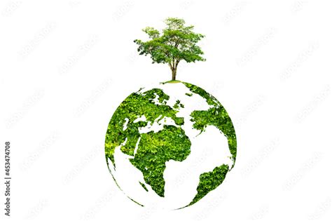 Earth Day Tree On Green Earth On White Isolate Background Photos
