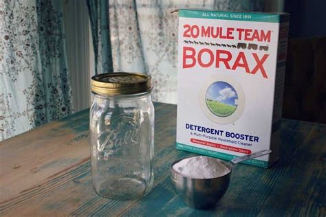 20 Great Ways To Use Borax Around The House