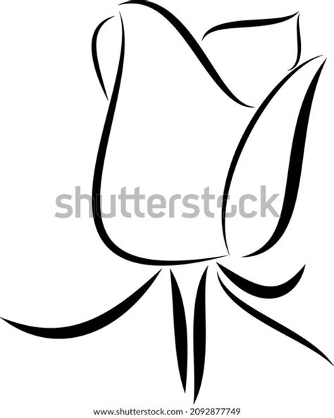 Black White Rose Vector Graphics Stock Vector Royalty Free 2092877749