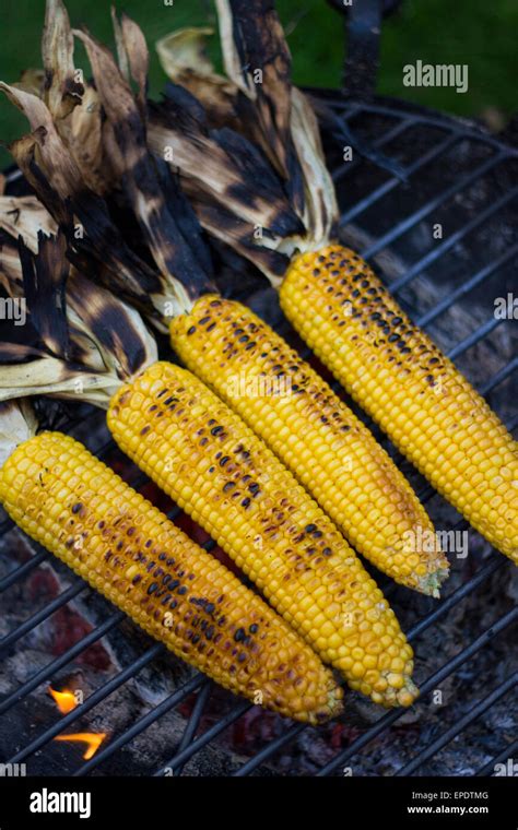 Corn Cobs And Corn Kernels Hi Res Stock Photography And Images Alamy