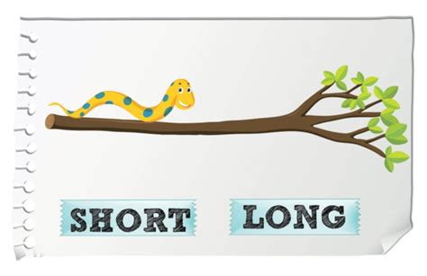 Opposite Adjectives Tall And Short Child Elements Kid Vector Child