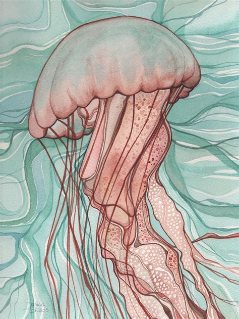 Tamara Phillips — Jellyfish In 2020 Watercolor Jellyfish Jellyfish
