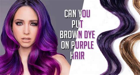 Dark Brown Hair With Purple Tint
