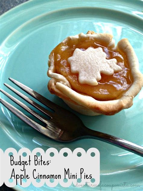 Budget Bites Miniature Apple And Cinnamon Pies Recipe