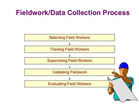 Fieldwork Data Collection Process