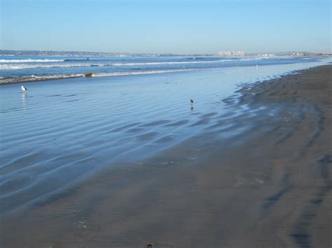 Best Southern California Seashell Beach Beach Treasures And Treasure