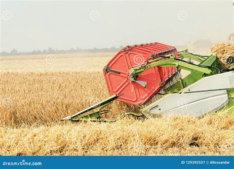 Closeup Combine Harvesting A Wheat Field Combine Working The Field