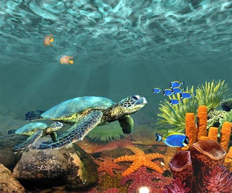 Underwater Desktop Backgrounds Wallpaper Cave