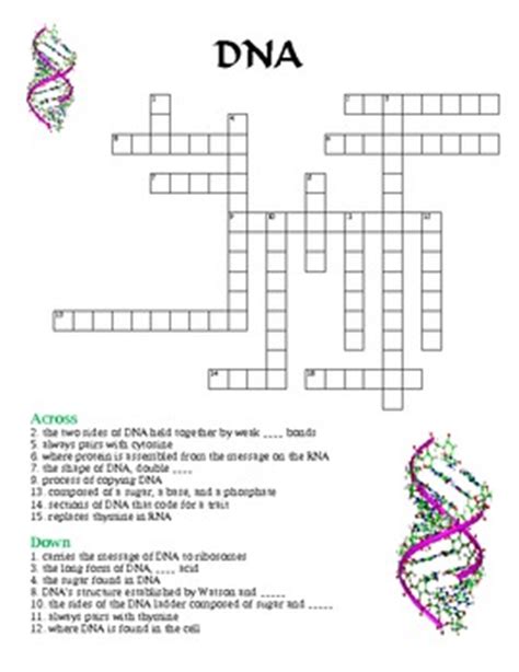 Themed crossword puzzles with a human touch. Crossword Puzzle - DNA (with Answer Key) by Michelle ...