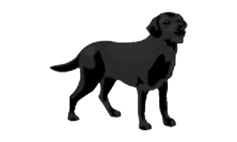 Black Dog Png Image Png All Png All