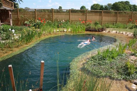 Astounding Simple Swimming Pond Ideas For Alternative Swimming Pool For