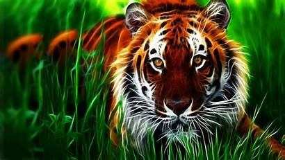 3d Animal Tiger Wallpapers Walls Woowpaper