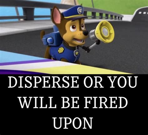 Disperse Paw Patrol Blm Controversy Know Your Meme