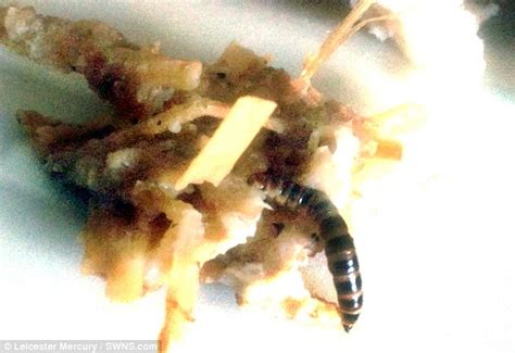 Pregnant Woman Finds Maggot Attached To Tesco Pre Cooked Chicken Daily Mail Online