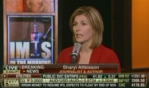 Sharyl Attkissons Reversal Technology Problems May In The End Have Nothing To Do With