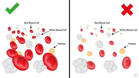 The normal range varies slightly between laboratories but is generally from white blood cell (wbc) differential count. 5 Signs You Have A Low Red Blood Cell Count