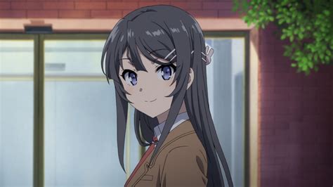Anime Rascal Does Not Dream Of Bunny Girl Senpai Blue Eyes Grey Hair