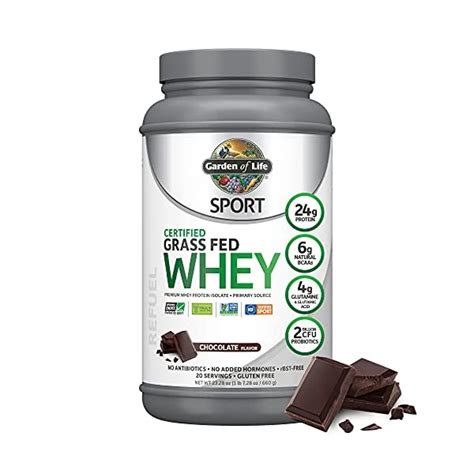 Garden Of Life Sport Whey Protein Powder Review 2023