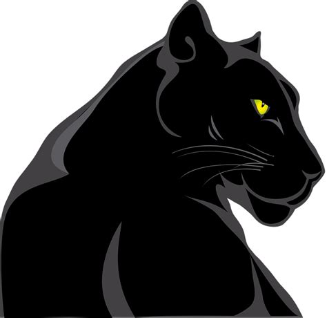 Pantera Animale Feline Grafică Vectorială Gratuită Pe Pixabay Pixabay