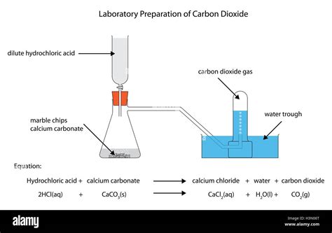 Diagram Of The Laboratory Preparation Of Carbon Dioxide From Stock