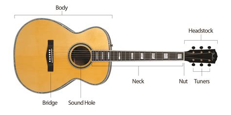 Basic electric guitar circuits 3: Parts of a guitar | Heartwood Guitar