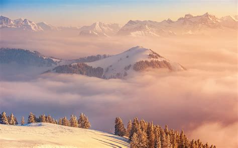 Обои Альпы 5k 4k Швейцария горы облака сосны Alps