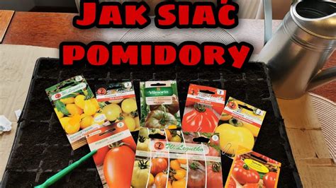 Wysiew Pomidorów Na Rozsadę Uprawa Pomidorów Ogród Warzywny Sowing Tomatoes Youtube