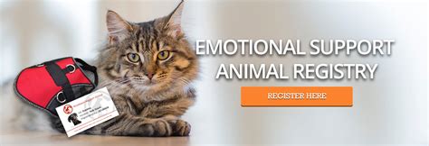 Emotional support animals can be a dog, cat, or any other species the therapist deems appropriate. Can I Bring an Emotional Support Animal to School ...