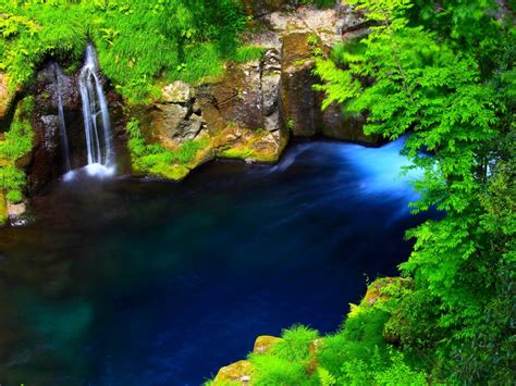 River Forest Waterfall Lake Blue Water Rocky Coast With Green Moss