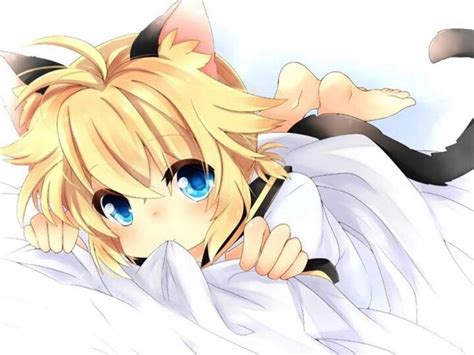 Catboy Bot On Twitter Anime Cute Art Neko