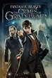 Fantastic Beasts: The Crimes of Grindelwald (2018) - Posters — The ...