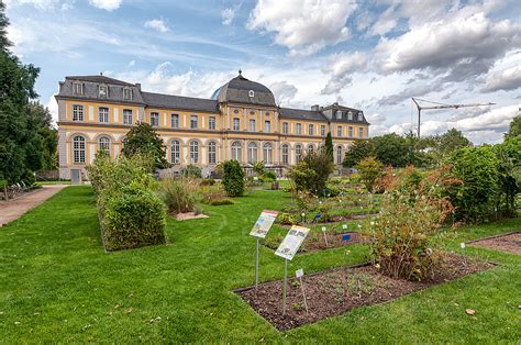 Im winter ist der eintritt zum freiland die 21 hektar große gartenanlage zählt zu den artenreichsten pflanzensammlungen in deutschland. Botanischer-Garten-Bonn - Botanischer Garten