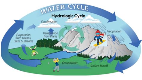 Water Cycle Definition Steps Diagram Facts Britannica Vlrengbr