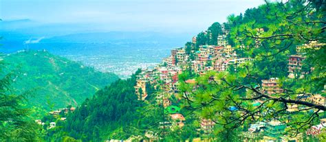 Discover Dharamshala Dharamshala Tour Travel Guide Indian Holiday