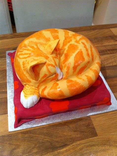 Please Help Me Make A Tabby Cat Cake Rcakedecorating