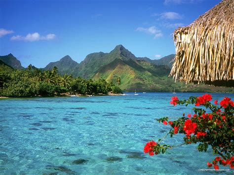 Tranquil Lagoon Bora Bora Island French Polynesia Wallpapers Hd
