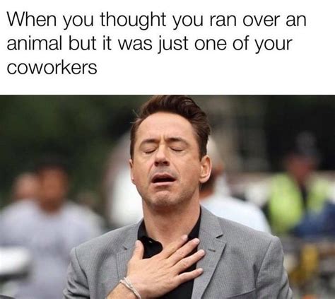 Work Memes And Funny Work Memes Youll Totally Understand