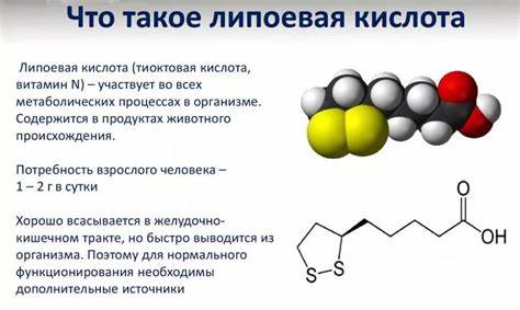 Липоевая кислота как принимать чтобы похудеть Альфа липоевая кислота для похудения как принимать: Липоевая кислота Альфа липоевая кислота для похудения как принимать: Липоевая кислота Липоевая кислота как принимать чтобы похудеть