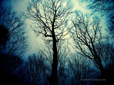 Dark Trees By Bouffe On Deviantart