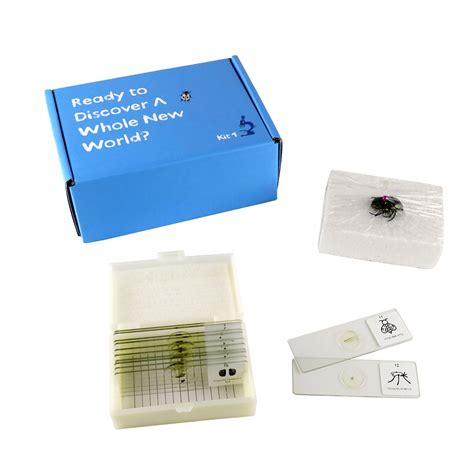 Kids Microscope Slide Kit With Real Beetles For Sale