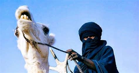Fascinating Humanity Niger Camel Riding Blue Man Of The Sahara