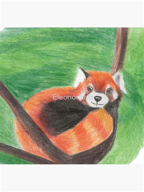 Red Panda Poster By Eleonorarte Redbubble