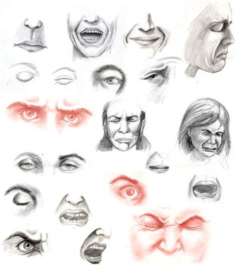 Facial Expressions By Meli On Deviantart