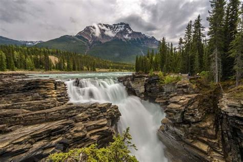 Jasper National Park Columbia Icefields And Athabasca