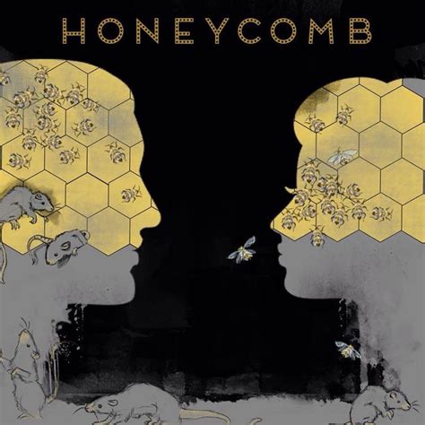 Album Cover For Summer Underground S Honeycomb Album Art Graphic