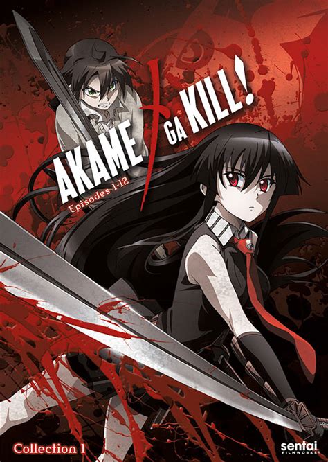 Akame Ga Kill 2014