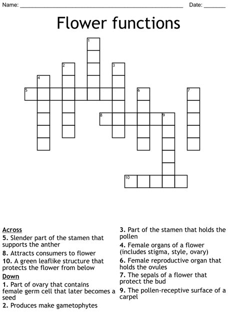 Female Flower Parts Crossword Clue Best Flower Site